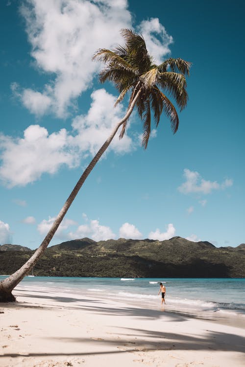 man alone on an island with palm tree